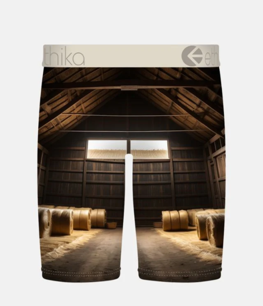 Ethika Boys Bright Barn Staple underwear.