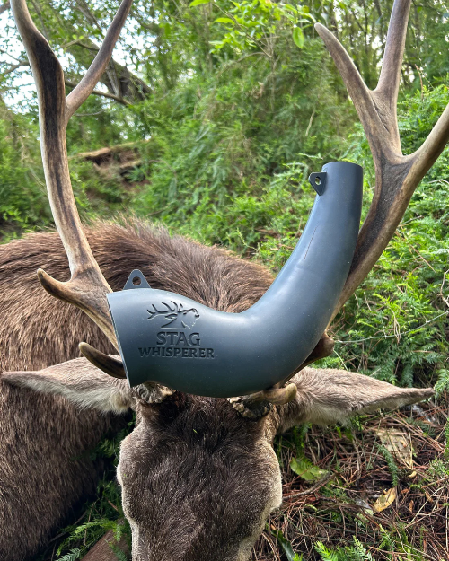 Deer wearing a 'Stag Whisperer' device in a forest setting