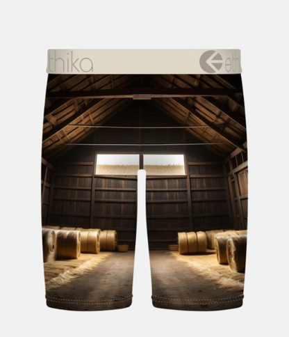  Ethika Boys Bright Barn Staple underwear. 